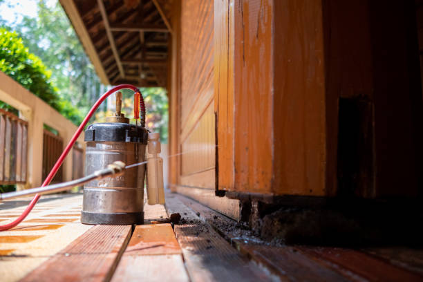 Best Affordable Pest Control Services  in Pine Castle, FL